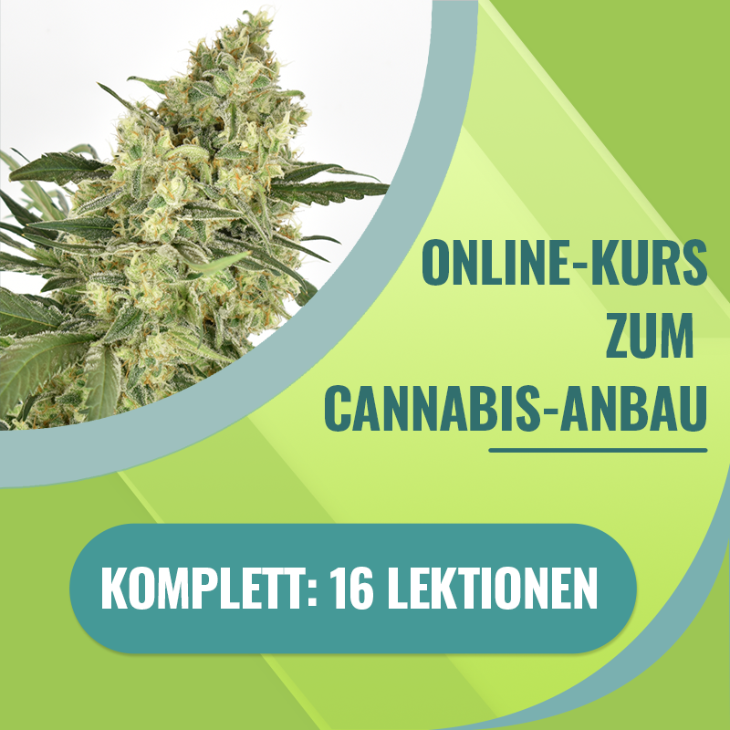 Online-Kurs Komplett